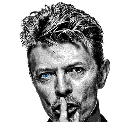 "Shh" Bowie Tee - Navy